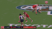 LangfordW-ezgif.com-optimize.gif