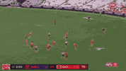 PetraccaW-ezgif.com-optimize.gif