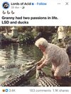 IMG_8920.jpeg