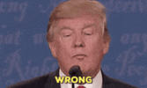 IMG_3184.gif