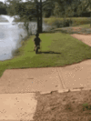 IMG_1045.gif
