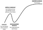 Learning Curve 2.jpg