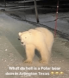 1744003904096.png