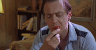 buscemi 25.gif