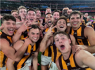 Screenshot 2025-04-13 at 22-35-32 Hawthorn Football Club (Hawks) on Instagram FINALS SELFIE gu...png