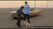 IMG_4789.gif