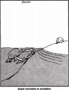 1744601240354.png