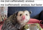 1744668422473.png