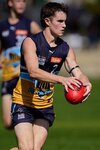 Tom Evans 1.jpg