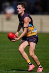 Tom Evans 2.jpg
