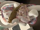 IMG_0601.jpeg