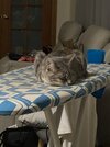 IMG_5831.jpeg