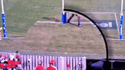 1000053505.gif