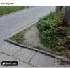 IMG_6606.jpeg