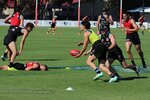 IMG_1693.jpg