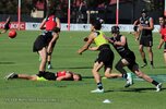 IMG_1694.jpg
