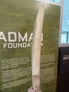 IMG_3755.jpeg