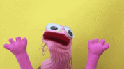 giphy (1).gif