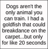 1745819988207.png