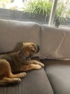 IMG_7040.jpeg