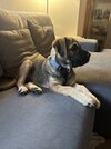 IMG_6947.jpeg