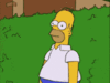 200w_d.gif