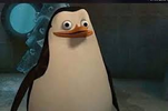 1746866955226.png