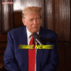 FakeNews.gif