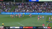 Parker Powell Neale 3.png