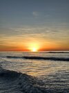 IMG_7348.jpeg