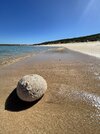 IMG_3502.jpeg