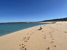IMG_3490.jpeg