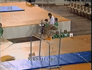 1000000889.gif