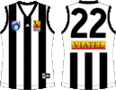 Collingwood-1998-PS1.gif