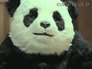 1747485883960.gif