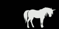 unicorn.gif