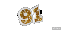 91.gif