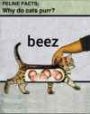 Screenshot_20250519-194739.png