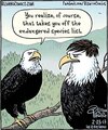 FB_IMG_1747832338930.jpg