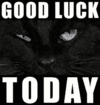 Cat good luck black-cat.gif