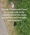 IMG_0318.jpeg