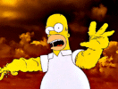 IMG_0350.gif
