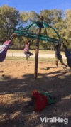 IMG_9395.gif