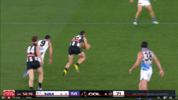 Quarter 4 - Bounce 2 - Image 5 Collingwood are out.png