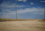 1748256276056.gif