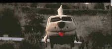 tenor.gif