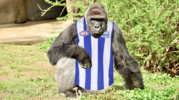 1748415406297.png