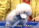 Winki Dink - Keay Keay Keay (2).gif