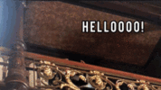1749024237705.gif