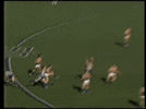 Matera1993.gif